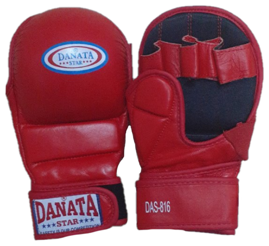   MMA Danata Star Fight,   L 