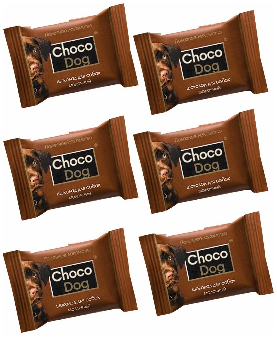 CHOCO DOG  ,   , 6 , 15 ,VEDA