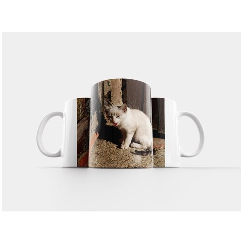 фото Кружка "кот, о, крыша" 320 мл lotsprints