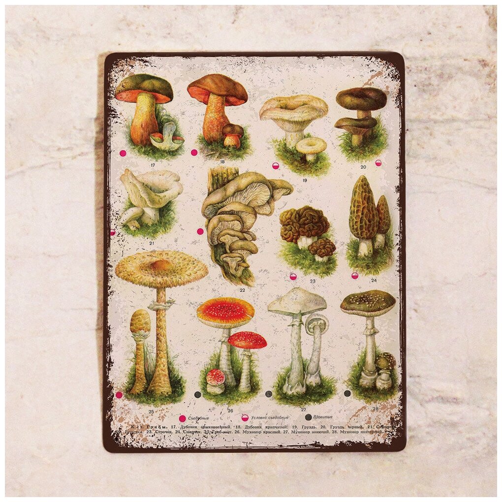 Жестяная табличка Табличка Все грибы 2, металл, 20х30 см
