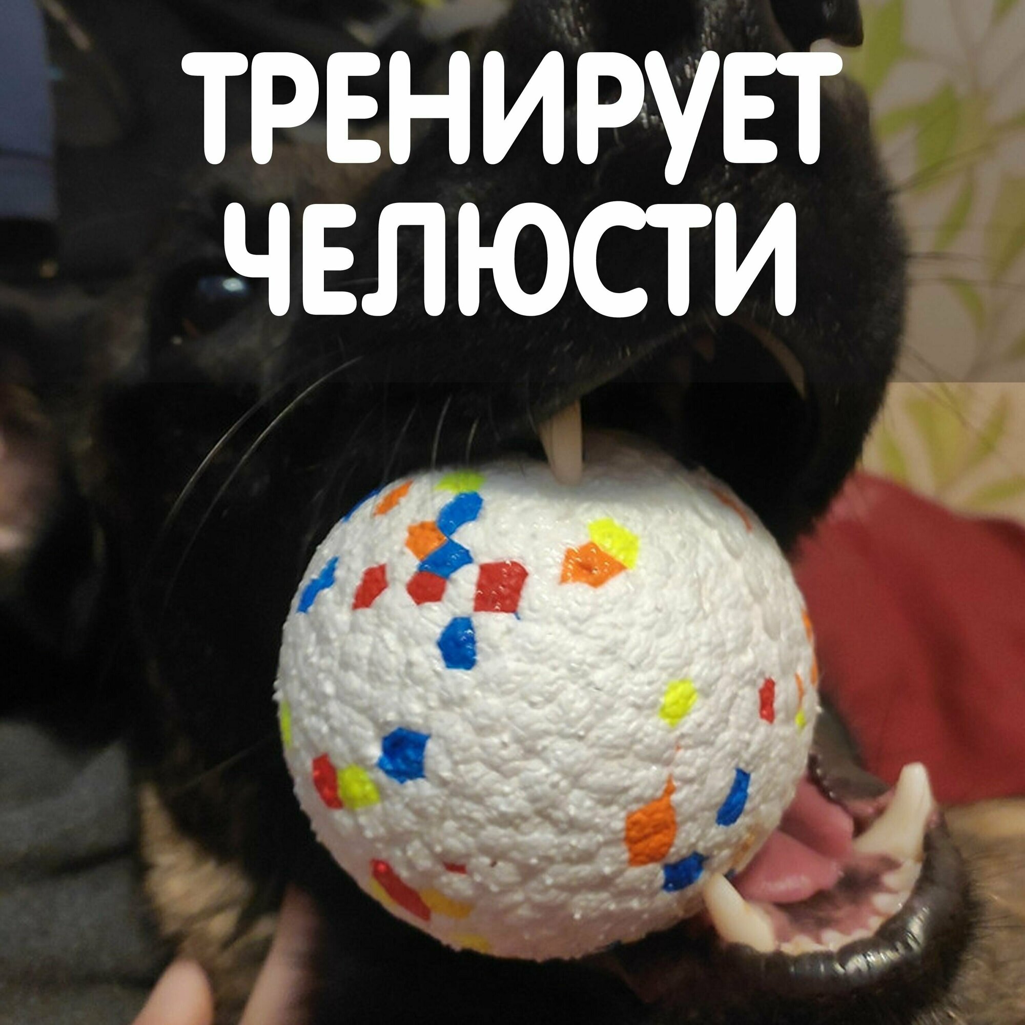Мячик для собак крупных и средних пород, игрушка для щенков прочная - фотография № 5