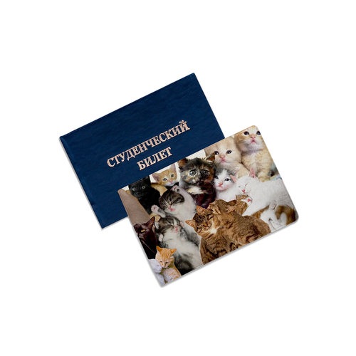 Обложка для студенческого билета ZEKEKS, серый, коричневый