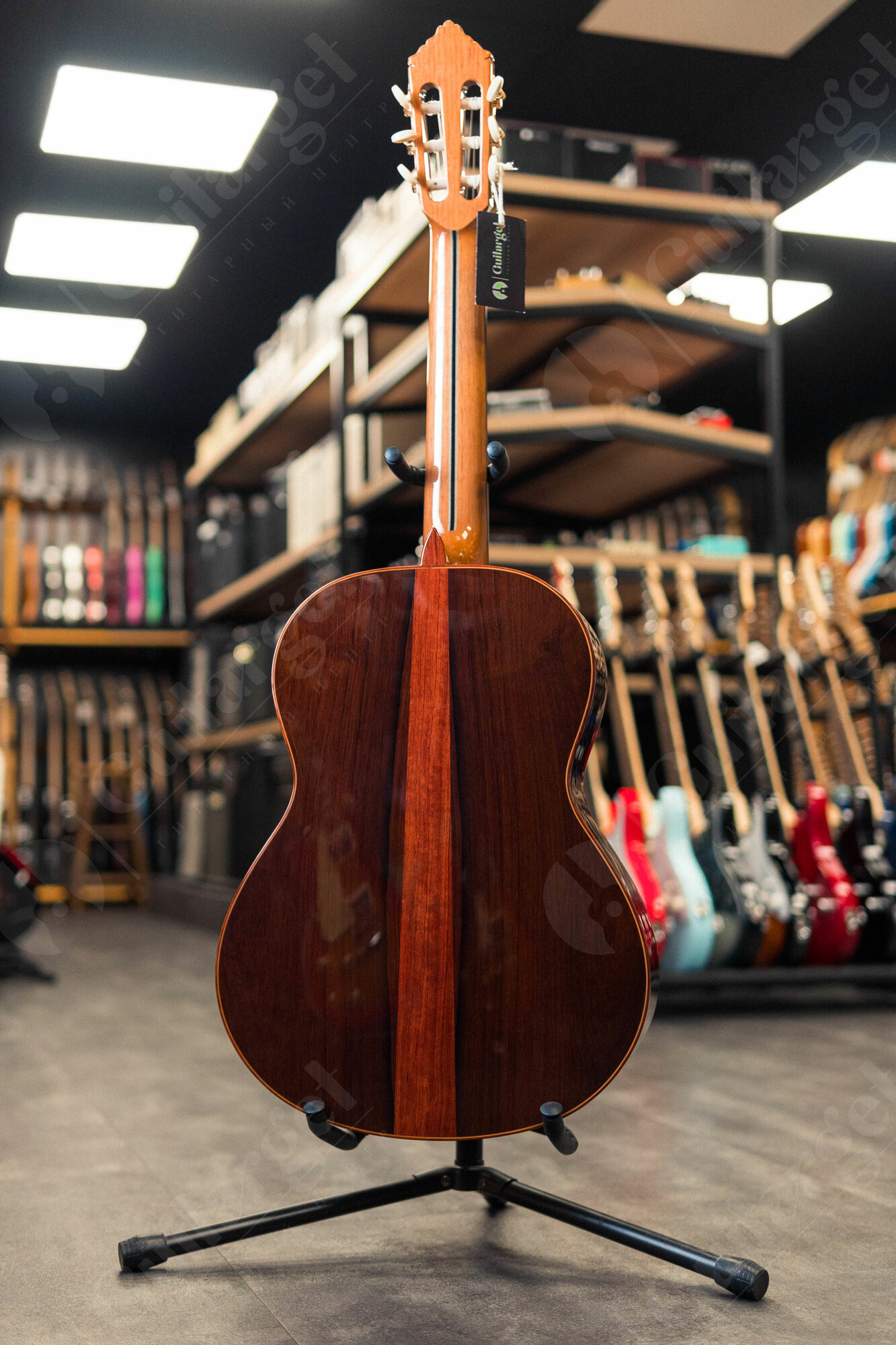 Классическая гитара Alhambra Premier Pro Madagascar 7.631 с кейсом — фото 1