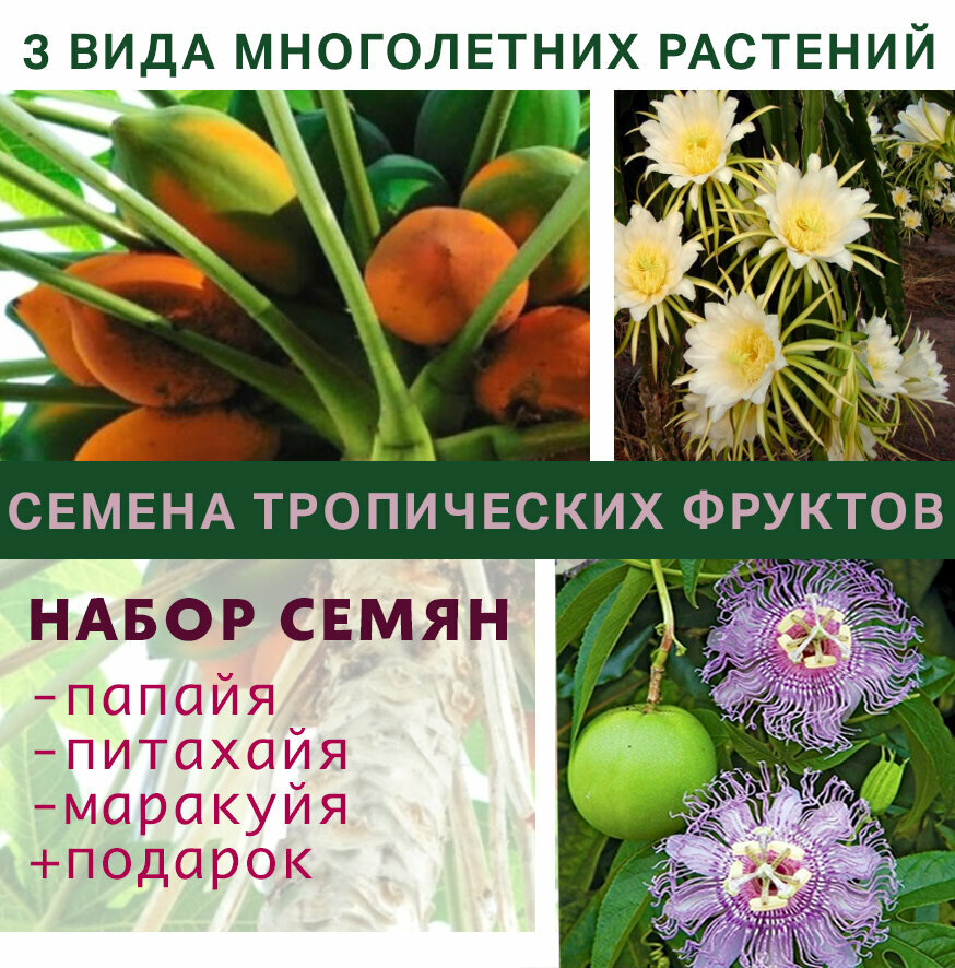 Семена экзотических растений. Маракуйя Папайя Драгон Фрукт