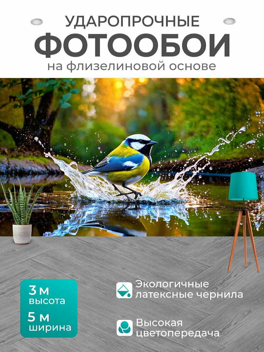 Фотообои моющиеся ударопрочные "На берегу лесного озера большая синица купается, распуская капли воды, сверкающие на солнце. вода зеркально отражает" 500x300 см. флизелиновые на стену