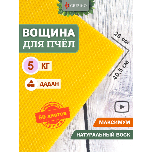 Вощина для пчёл Дадан Максимум, 40х26 см, 5 кг, для пчеловодства