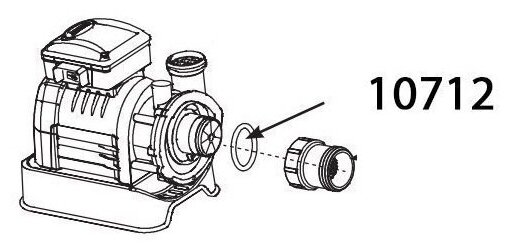 Уплотнительное кольцо на выпускное отверстие фильтрующих насосов 10712 - фотография № 2