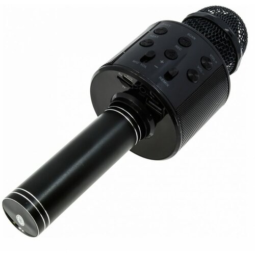 Микрофон-колонка WS-858-1 Bluetooth черный 101000₽