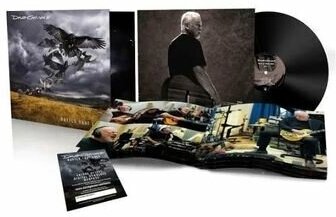 David Gilmour Rattle That Lock Виниловая пластинка Sony - фото №4