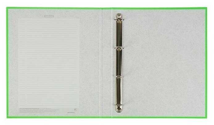 Папка на 4 кольцах А4, ErichKrause Neon, 35 мм, 1750 мкм, неон зеленая