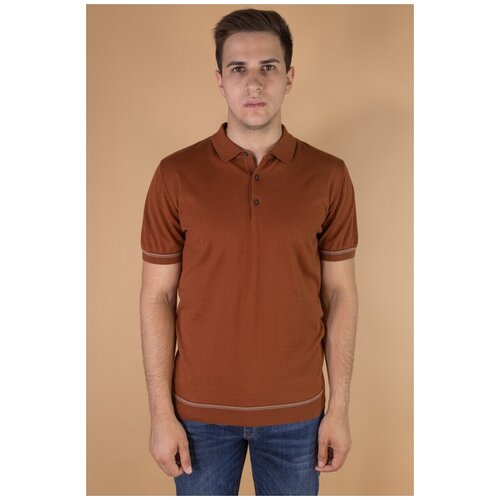 LAB Pal Zileri Поло коричневое (56)
