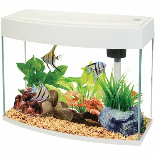 Аквариум Aa-aquarium AA Aquarium BasicP 20л, панорамный белый, 44х19х36 см
