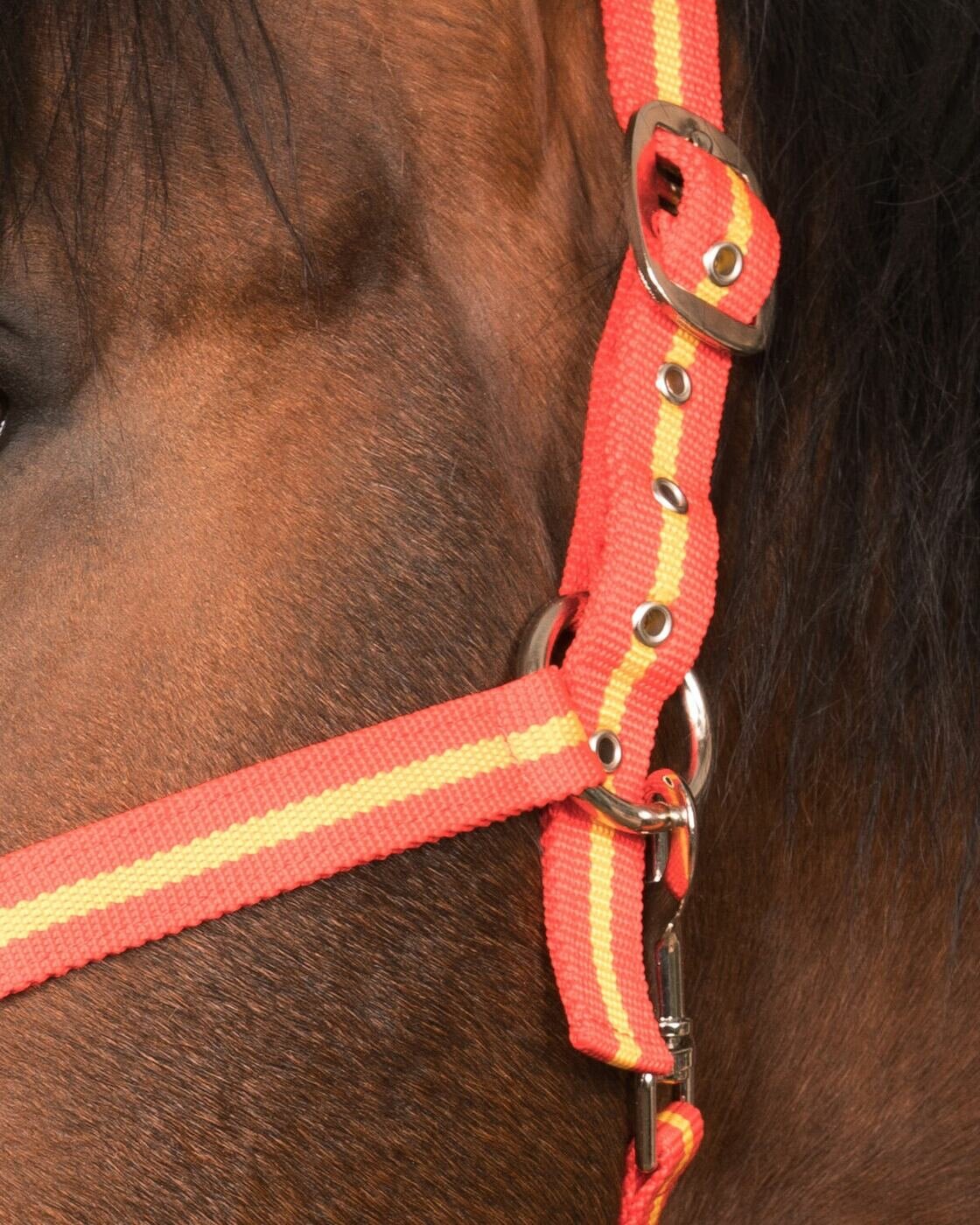 Sweethorse / Недоуздок для лошади и пони FULL - фотография № 3