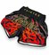 Fairtex Шорты для бокса Fairtex BS1708