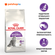 Royal Canin Корм сухой сбалансированный для взрослых кошек с чувс...