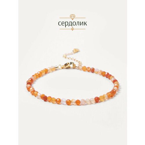 фото Браслет на ногу brandlove, длина 21 см, 1 шт., оранжевый, золотой