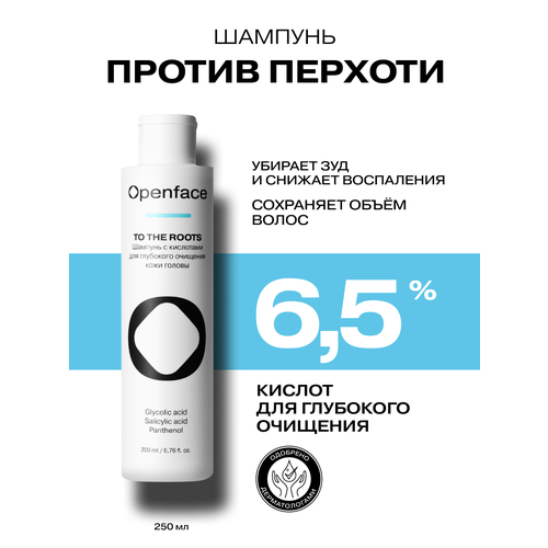 Шампунь с кислотами для глубокого очищения кожи головы Openface To The Roots