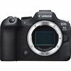 Фото Canon EOS R6 Mark II