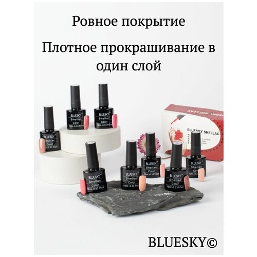 Гель лак для ногтей набор 1, гель-лаки Bluesky