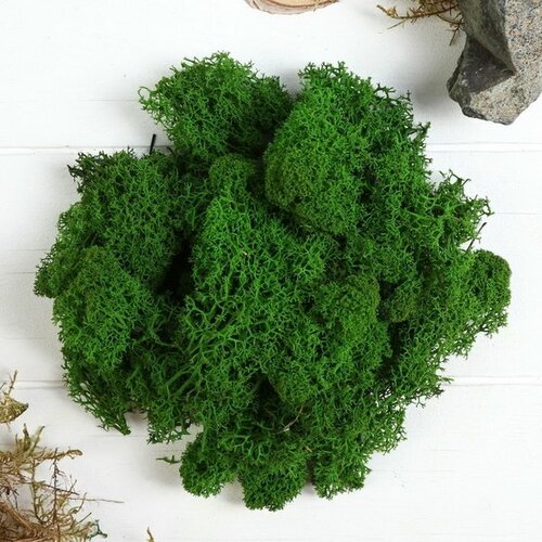 Мох стабилизированный Салатовый 45 гр мох для декора 50 гр зелёный