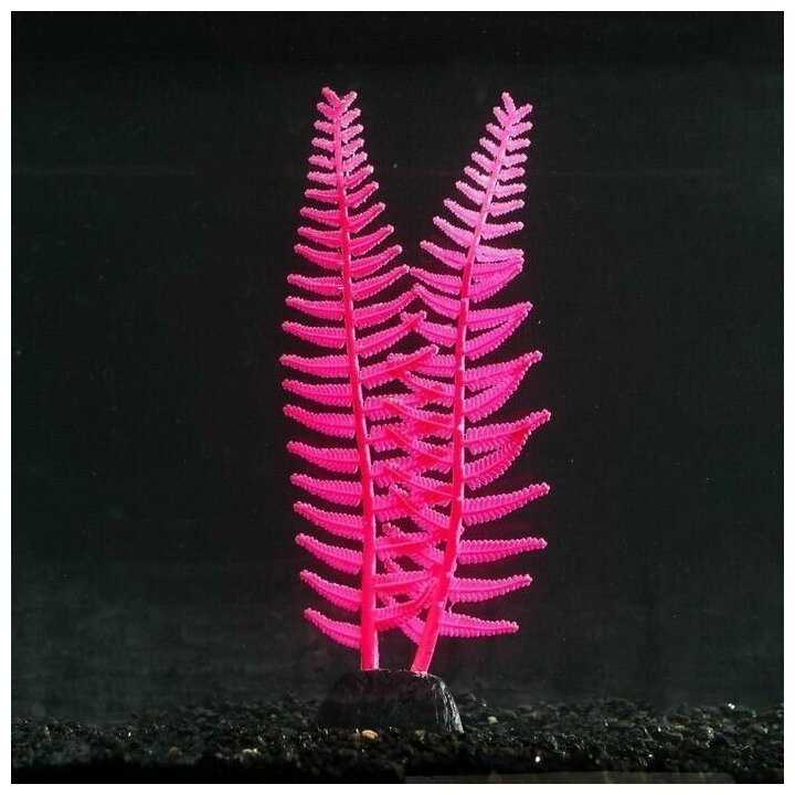 Растение силиконовое аквариумное, светящееся в темноте, 8 х 23 см, розовое, 1 шт. - фотография № 1