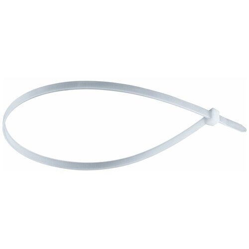 Нейлоновый хомут ProДеталь 4,8х450 мм, в уп. 100 шт, белый DP4.8450