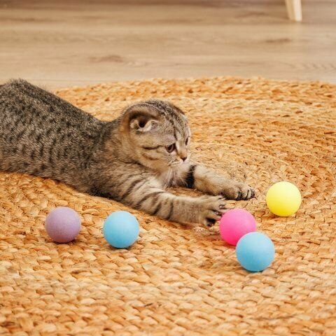 Pet Hobby Набор из 5-ти игрушек для кошек Мячики, разноцветные - фотография № 2