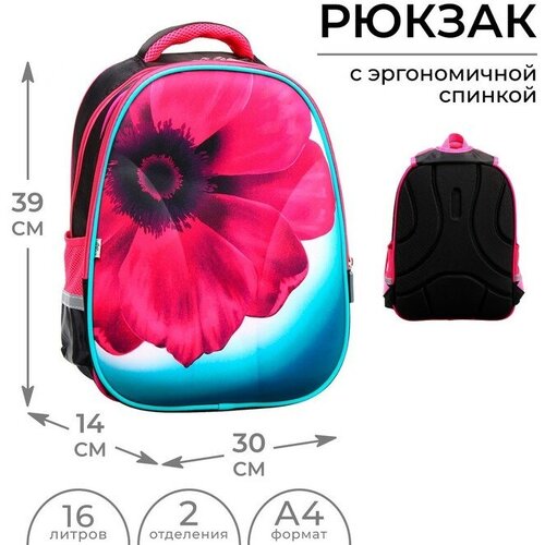 Рюкзак каркасный Calligrata Inspire 39х30х14 см