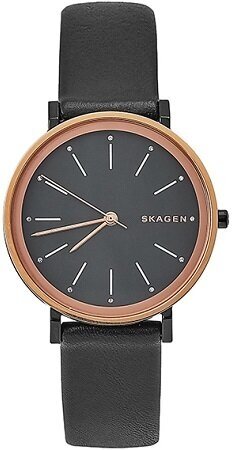 Наручные часы SKAGEN Hald