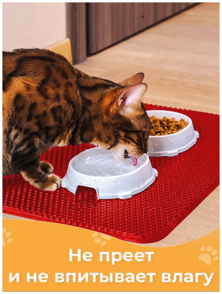 Комплект ковриков для животных 50*30см, 40*30см красный