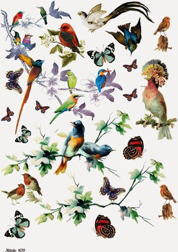 Изображение товара Декупажная карта А4 рисовая бумага тонкая птицы бабочки