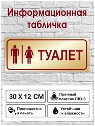 Информационная табличка "Туалет", 300х120 мм