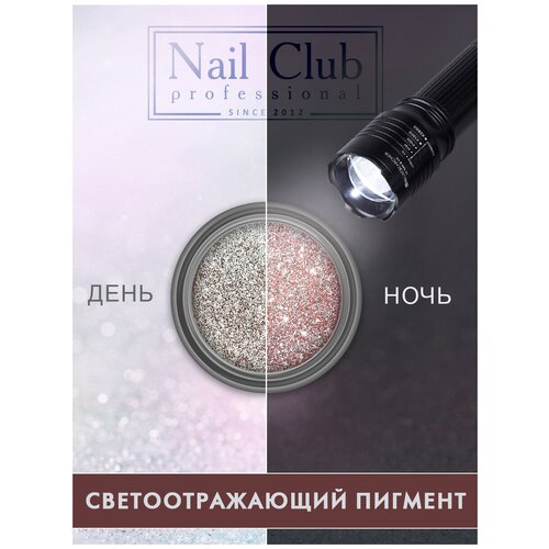 Nail Club professional Светоотражающий пигмент для ногтей Reflex Copper, 1 шт.