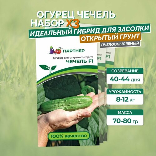 Семена огурцов: чечель F1 (0,5Г) / агрофирма партнер/ 3 упаковки по 0,5гр.