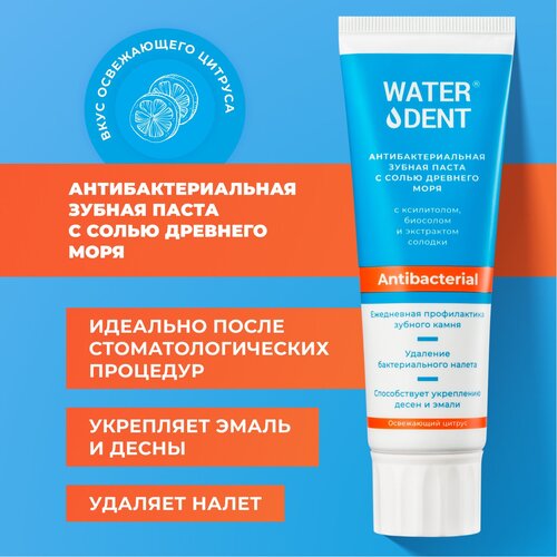 Зубная паста WATERDENT / Антибактериальная с солью Древнего моря / 100 г / RDA 80
