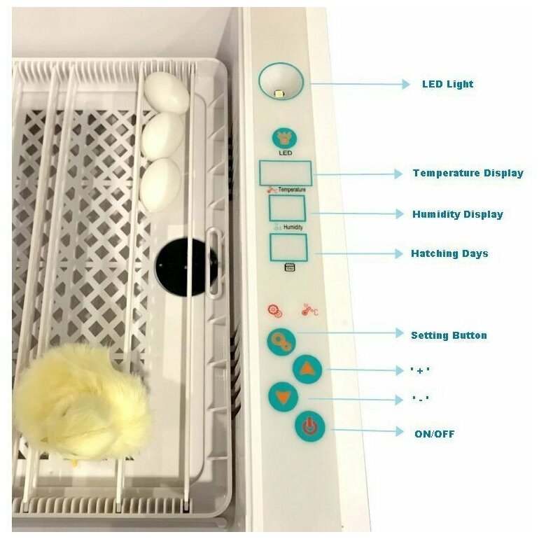 Инкубатор HHD 36 автоматический для яиц с овоскопом - фотография № 13