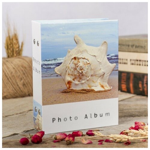 Platinum Фотоальбом на 100 фото 10х15 см 