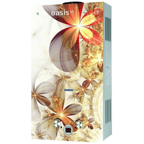 Проточный газовый водонагреватель Oasis Eco B-20 20 кВт 2246200₽