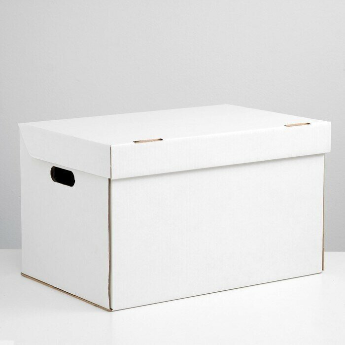 Коробка для хранения, белая, 48 х 32,5 х 29,5 см - фотография № 1