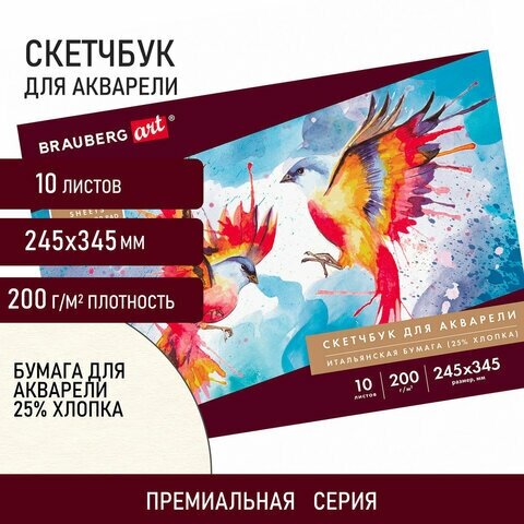 Альбом для акварели бумага италия 200 г/м2 25% хлопок 245х345 мм 10 л. BRAUBERG ART PREMIERE, 2 шт