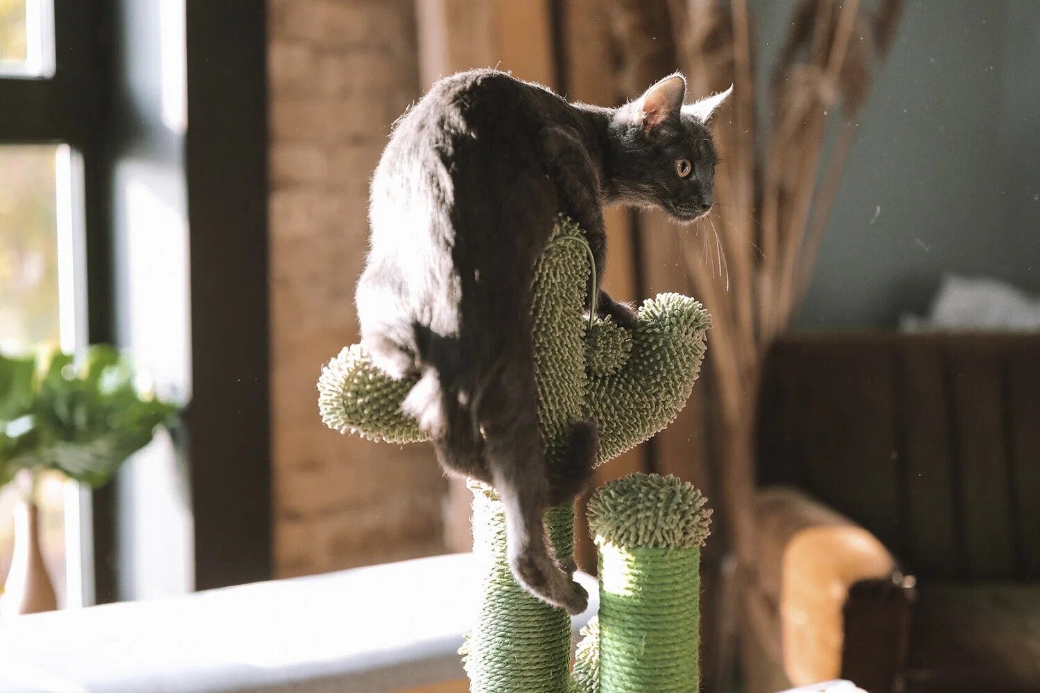 Когтеточка для кошек, "Не Один Дома" Оазис, зеленый - фотография № 5