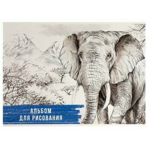 Альбом для рисования А4 32 листа на скрепке Слон 398₽