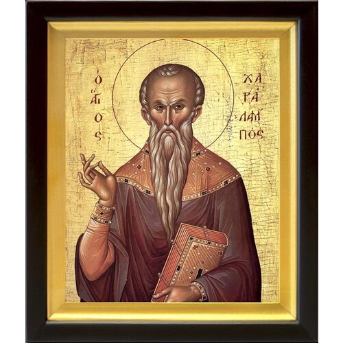 Священномученик Харалампий Магнезийский, икона в киоте 19*22,5 см
