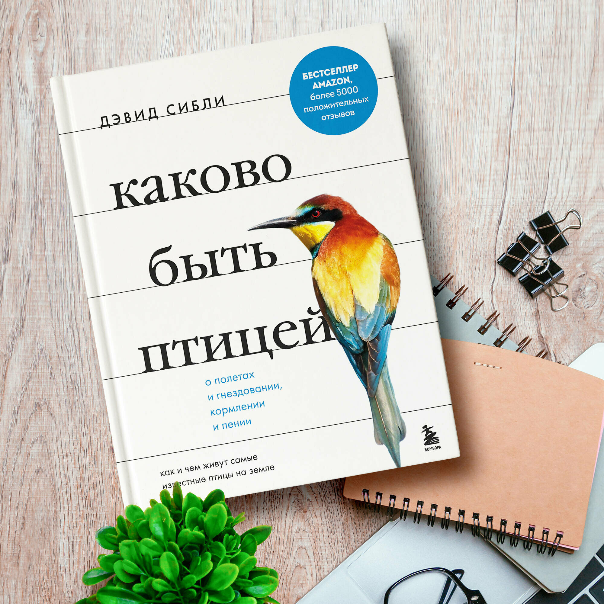 Каково быть птицей: о полетах и гнездовании, кормлении и пении. Как и чем живут самые известные птицы на земле - фото №8