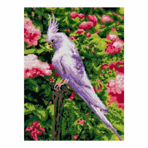 Lori Алмазная мозаика, 30 × 40 см, полное заполнение «Белый попугай»