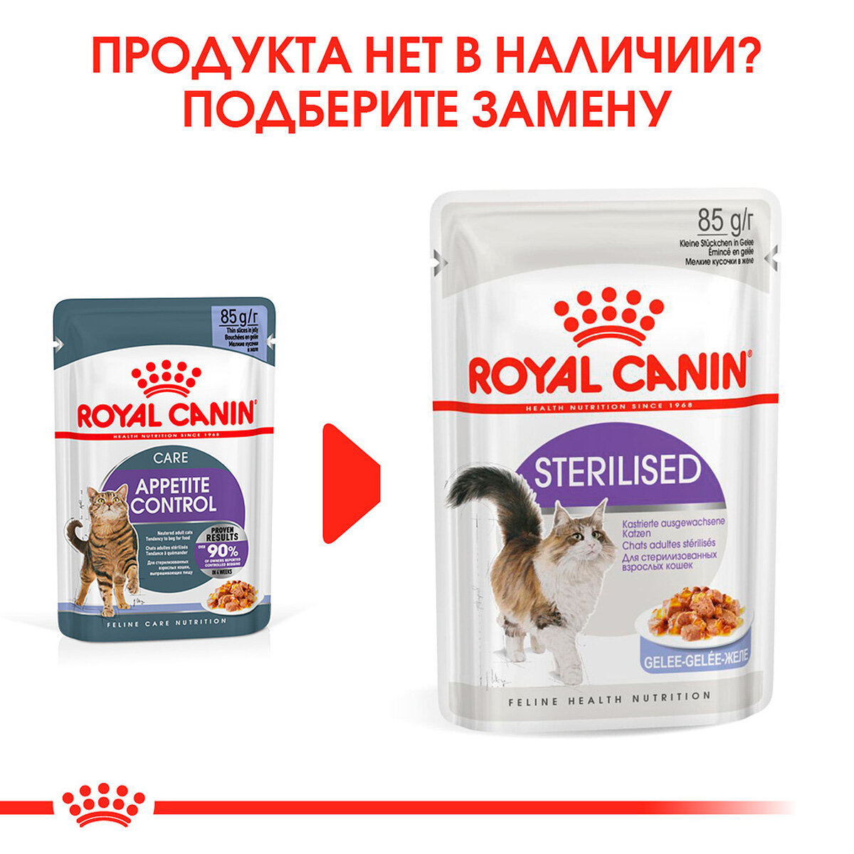 Влажный корм для кошек Royal Canin Appetite Control Care в желе 0,085 кг - фото №3