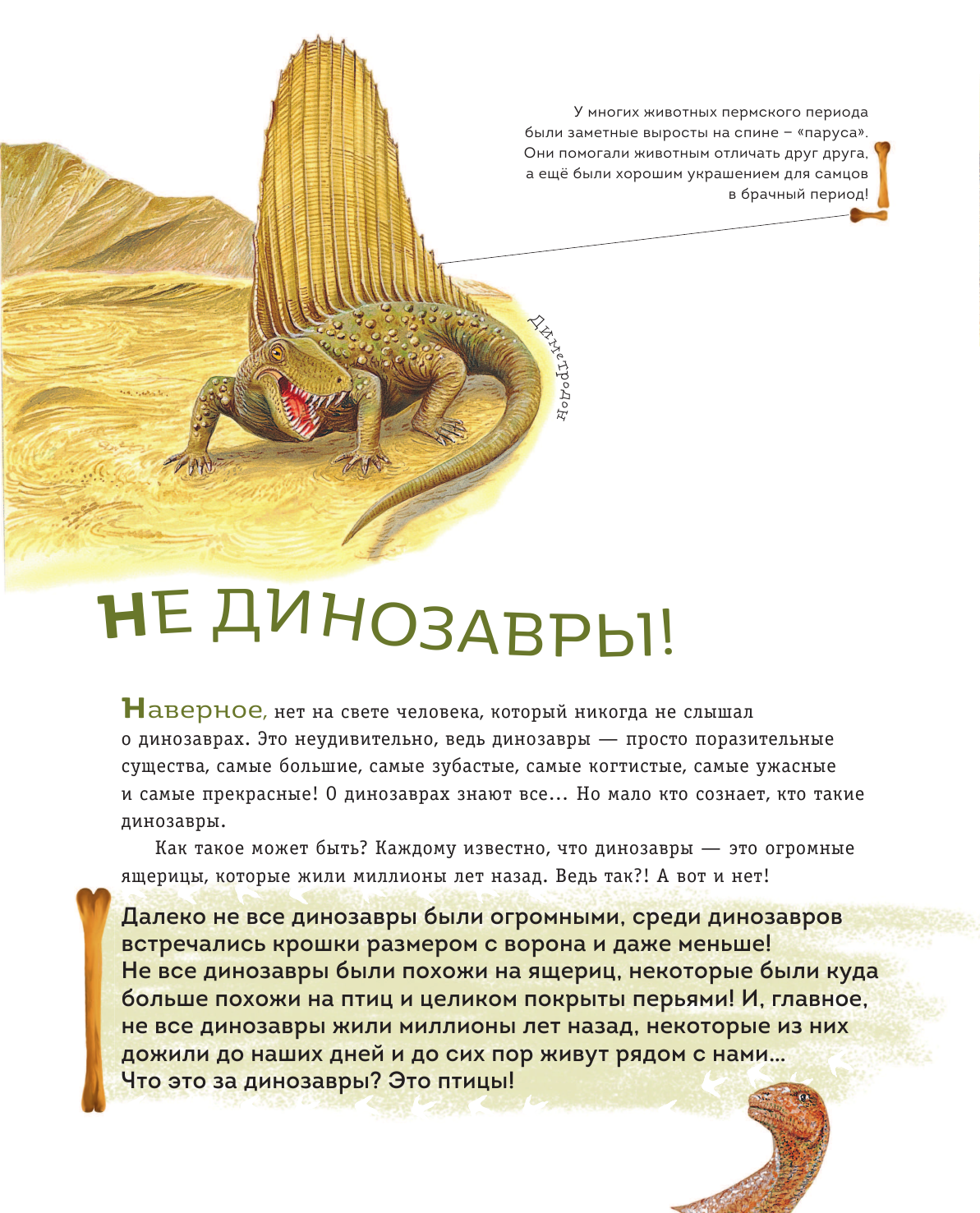 Динозавры триасового периода (Попов Ярослав Александрович) - фото №6