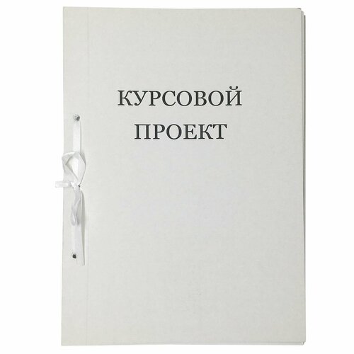 Папка "Курсовой проект", 44 листа с рамкой, на завязках, картонная обложка