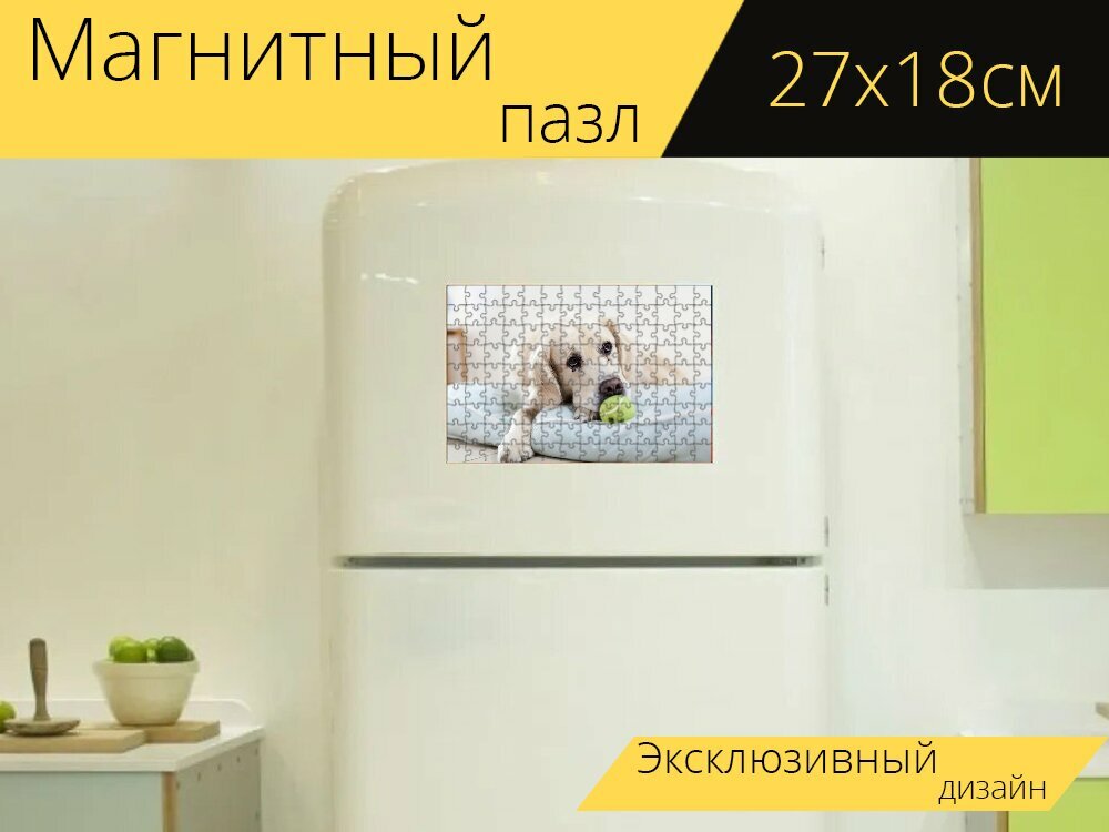 Магнитный пазл "Собака, золотистый ретривер, домашний питомец" на холодильник 27 x 18 см.