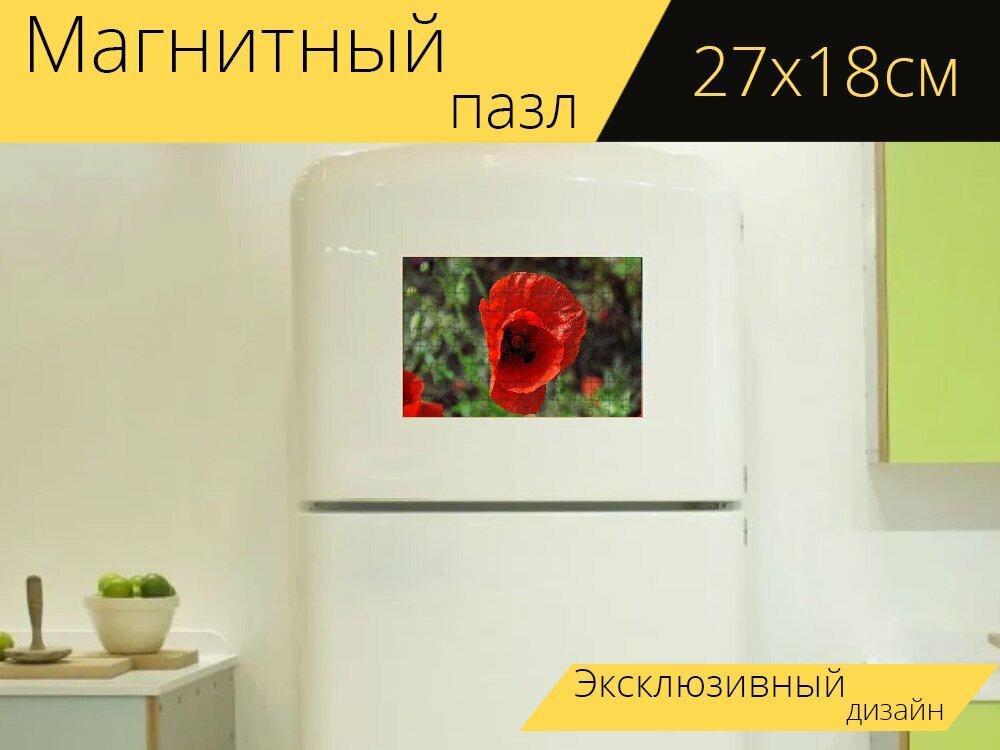 Магнитный пазл "Мак, сад, лужайка" на холодильник 27 x 18 см.